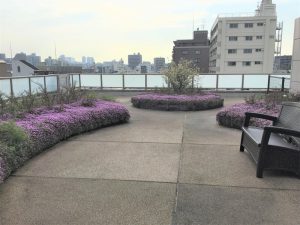 今年も満開です!