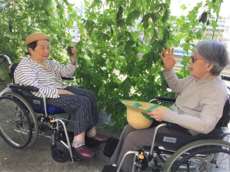 「グリーンカーテンが気持ちいいですね」