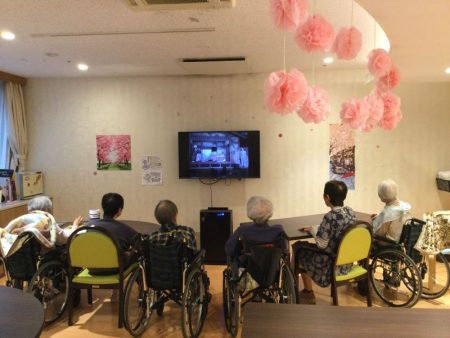 食堂にいても桜を満喫